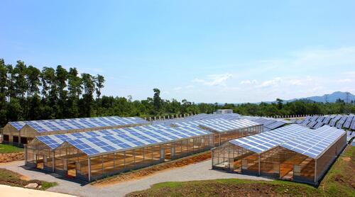 Latest company Solutions about Projekt szklarni słonecznej o mocy 20 kW – inteligentne rolnictwo spotyka czystą energię