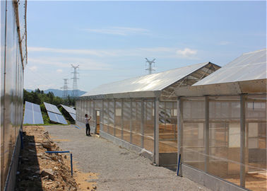 Dobra cena. Roof Mounted Greenhouse Solar System Photovoltaic Power Plants Agricultural Crops w Internecie
