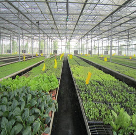 Dobra cena. 5kw Greenhouse Solar System Ground Mount 10-60° Tilt Angle Thickness 2.0mm/2.5mm w Internecie