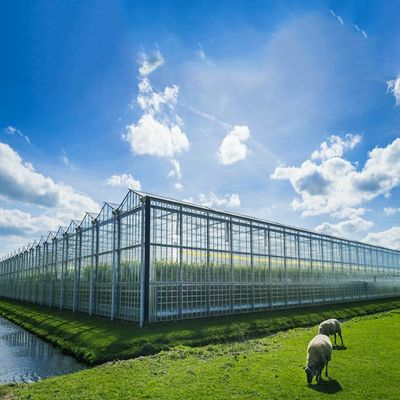 Dobra cena. Multi Purpose 500KW BIPV Greenhouse Solar System w Internecie