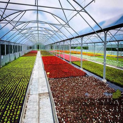 Dobra cena. Acid Corrosion Resistant Q345B Frame Greenhouse Solar System w Internecie