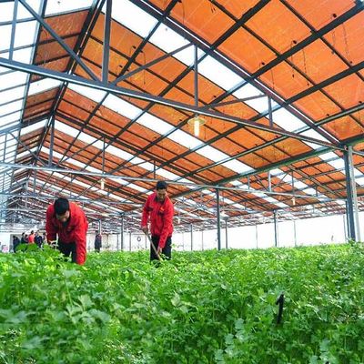 Dobra cena. Hot Galvanized Steel Frame Thin Film Module Support Structure For Photovoltaic Greenhouses w Internecie