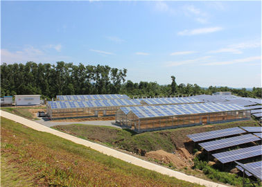 Dobra cena. Single Span Greenhouse Solar System Agriculture Plant Warm House Metallic Structure w Internecie