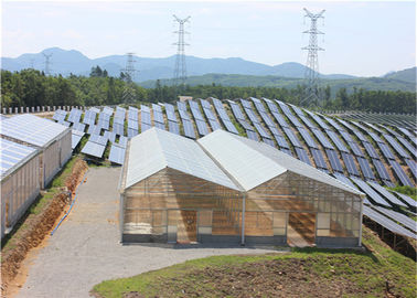 jakość High Density Greenhouse Solar System Economical Planting Hot Dip Galvanized Steel Structure fabryka