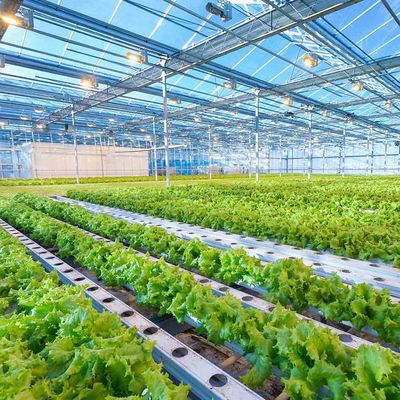 Dobra cena. Intelligent Adjustable Height Greenhouse  Lightweight Solar System Frame Photovoltaic Agricultural Mounting Structure w Internecie
