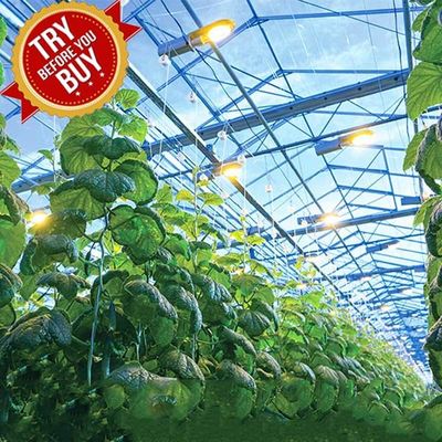 Dobra cena. CE Steel Frame Mounting Winter Greenhouse Solar System Tin Film Module Support Structure For Green Space w Internecie