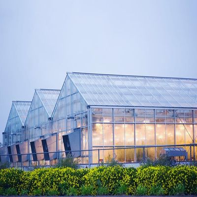 Dobra cena. Galvanized 12mm Thickness Film Greenhouse Solar System w Internecie