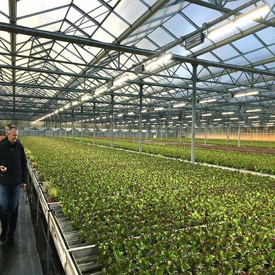 Dobra cena. Corrosion Resistance Agriculture Solar Energy Greenhouse 2.0mm 2.5mm Thickness w Internecie