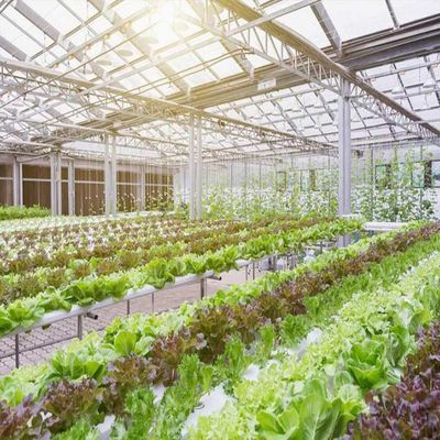 Dobra cena. 10-60 ° Horizontal Vertical Greenhouse Solar Systems 36.9m/S wind Load w Internecie