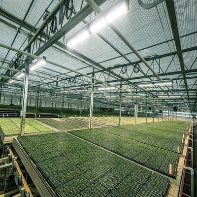 Dobra cena. A Frame Outdoor Irrigation Agricultural Solar Powered Greenhouse w Internecie