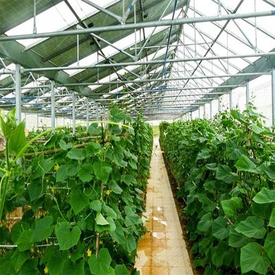 Dobra cena. Galvanized Anodized Solar PV Greenhouse With Shading System w Internecie