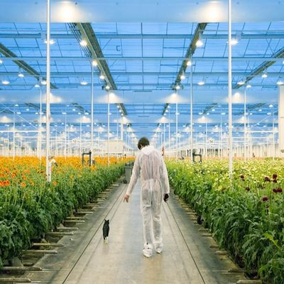 Dobra cena. Adjustable Light Sustainable Steel Film Greenhouse Solar System w Internecie