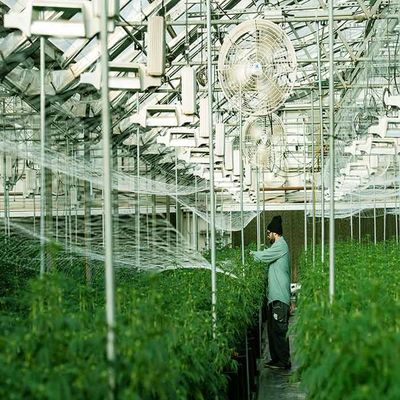 Dobra cena. Galvanized Stainless Steel Greenhouse Solar Mounting Structure w Internecie